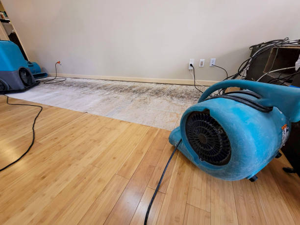 Professional Burst Pipe Water Damage technician working in Dana Point, CA